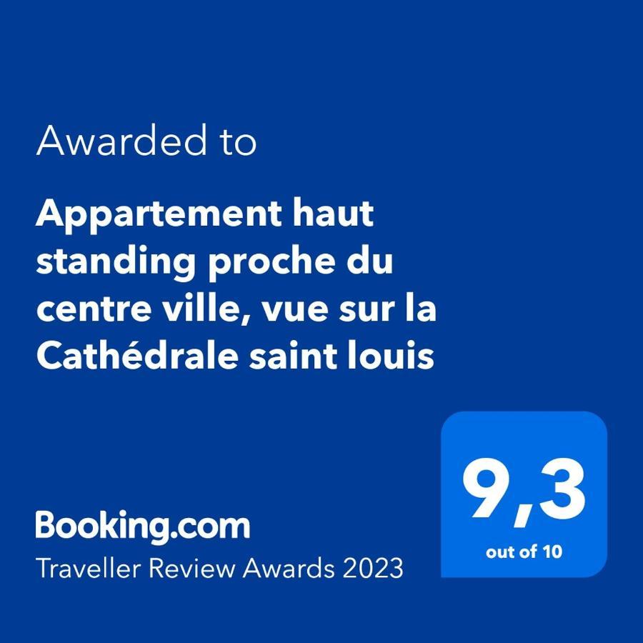 Appartement Haut Standing Proche Du Centre Ville, Vue Sur La Cathedrale Saint Louis Блуа Экстерьер фото